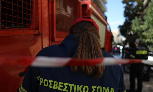 Δραματική κατάσταση στην Πέτρα Βοιωτίας λόγω δασικής πυρκαγιάς