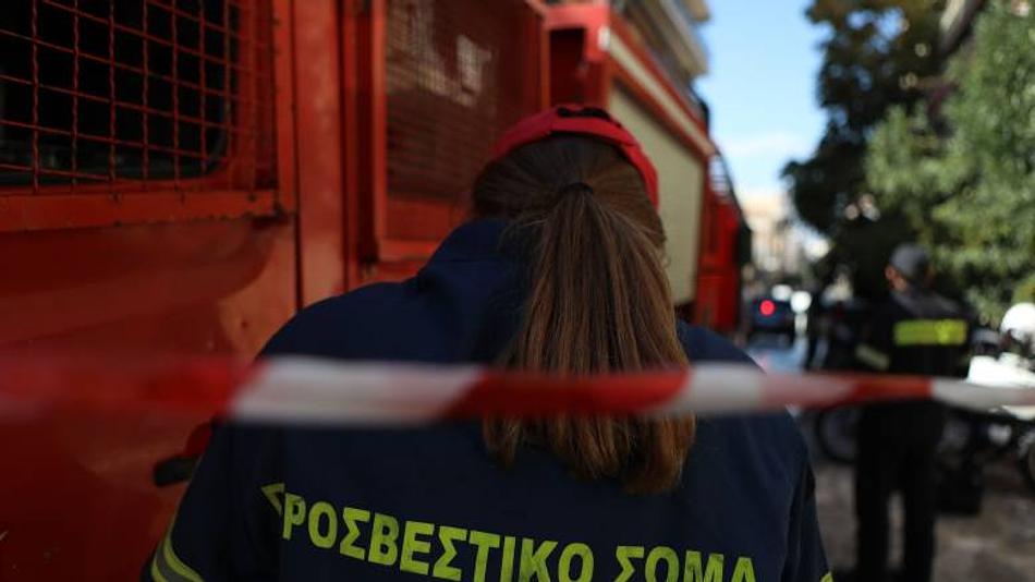 Δραματική κατάσταση στην Πέτρα Βοιωτίας λόγω δασικής πυρκαγιάς
