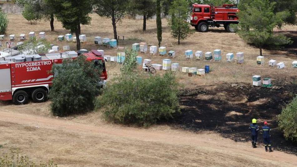 Πυρκαγιά στο Άλσος Βεΐκου: Υπόθεση μελισσοκόμων στο επίκεντρο της έρευνας
