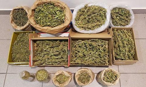 Αυξημένη χρήση κοκαΐνης και κάνναβης στην Ελλάδα - Σημαντική παρουσία οπιοειδών και κεταμίνης