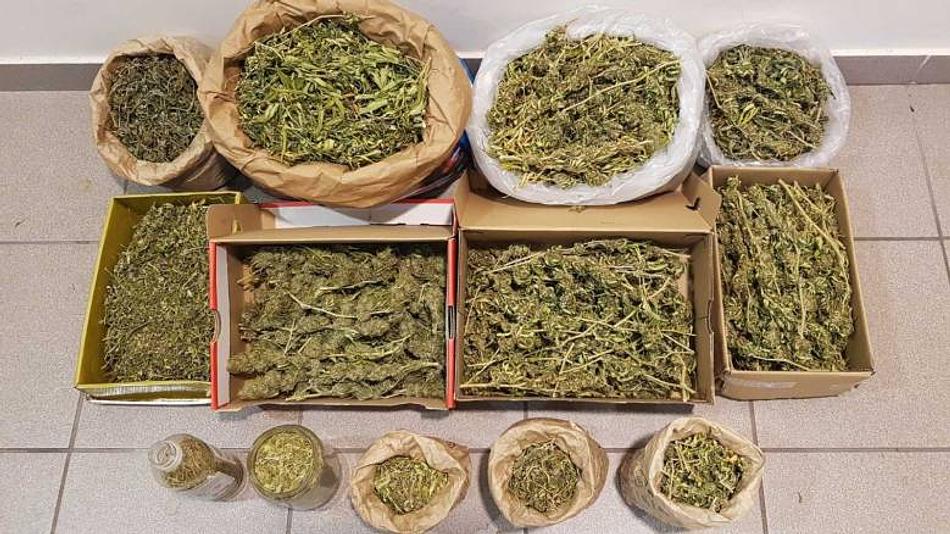 Αυξημένη χρήση κοκαΐνης και κάνναβης στην Ελλάδα - Σημαντική παρουσία οπιοειδών και κεταμίνης