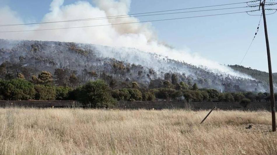 Ενισχυμένες δυνάμεις πυρόσβεσης επιχειρούν για την κατάσβεση πυρκαγιάς