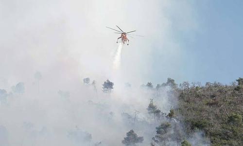 Πυρκαγιά σε χαμηλή βλάστηση στην Βοιωτία: Εξελίσσεται χωρίς κίνδυνο για οικίες