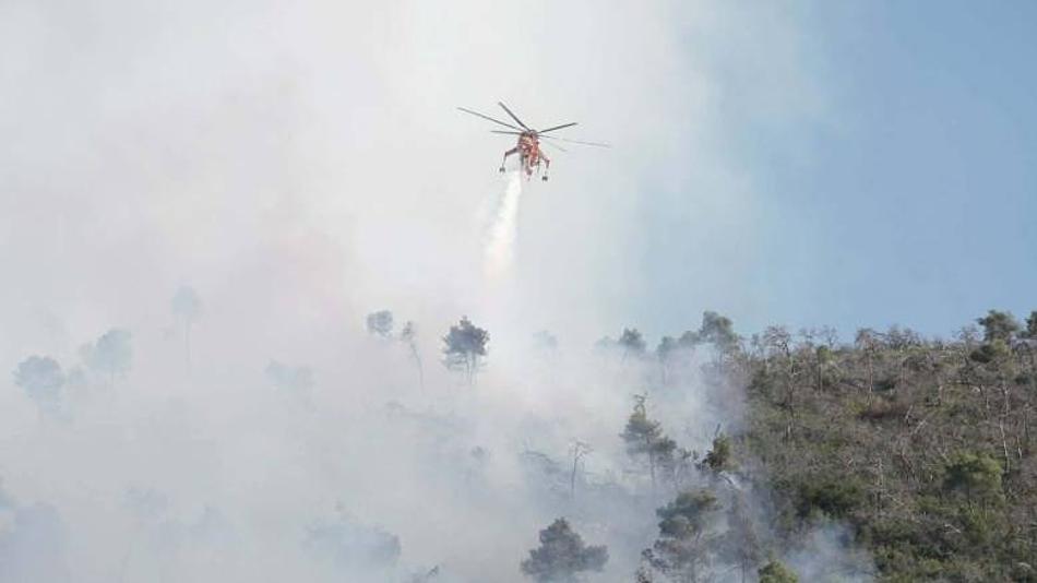 Πυρκαγιά σε χαμηλή βλάστηση στην Βοιωτία: Εξελίσσεται χωρίς κίνδυνο για οικίες
