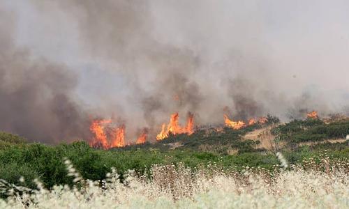 Συνελήφθησαν τέσσερα άτομα για πυρκαγιές στην Κορινθία, Αργολίδα και Καβάλα
