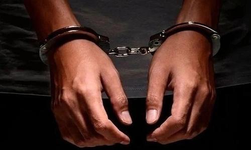 Εντοπισμός φυτείας κάνναβης σε χωριό του Μυλοποτάμου με 31 δενδρύλλια