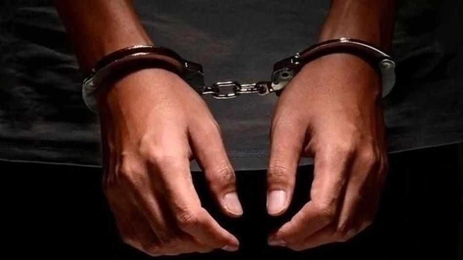 Εντοπισμός φυτείας κάνναβης σε χωριό του Μυλοποτάμου με 31 δενδρύλλια
