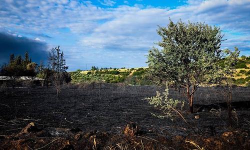 Πυρκαγιά στη Δροσιά: Επιχειρούν 40 πυροσβέστες και 6 αεροσκάφη για την κατάσβεση