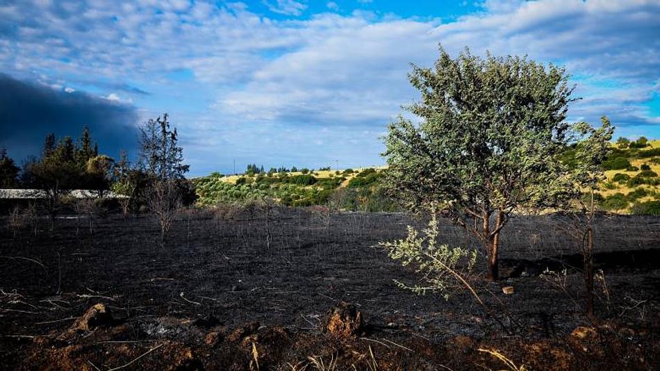 Πυρκαγιά στη Δροσιά: Επιχειρούν 40 πυροσβέστες και 6 αεροσκάφη για την κατάσβεση