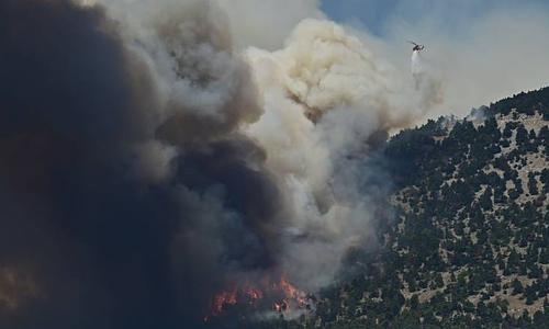 Συνεχιζόμενη μάχη κατά των πυρκαγιών με 264 συλλήψεις λόγω αμέλειας