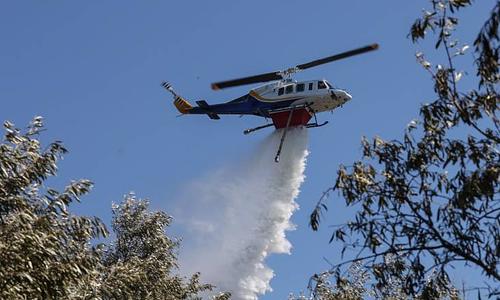 Πυρκαγιά σε χαμηλή βλάστηση στην Χαλκιδική: Μάχη με τις φλόγες από 45 πυροσβέστες και 14 οχήματα