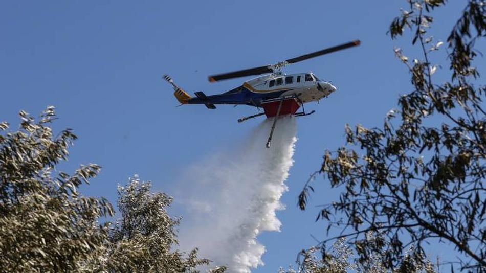 Πυρκαγιά σε χαμηλή βλάστηση στην Χαλκιδική: Μάχη με τις φλόγες από 45 πυροσβέστες και 14 οχήματα