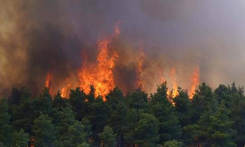 Πολύ υψηλός κίνδυνος πυρκαγιάς σε πολλές περιοχές της Ελλάδας