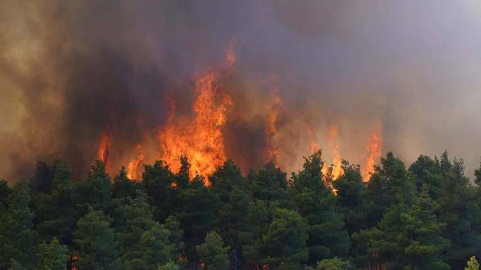 Πολύ υψηλός κίνδυνος πυρκαγιάς σε πολλές περιοχές της Ελλάδας