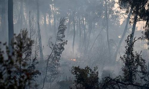 Συνεχείς πυροσβεστικές επιχειρήσεις στην περιοχή Σίβηρης-Φούρκας λόγω κινδύνου αναζωπύρωσης φωτιάς