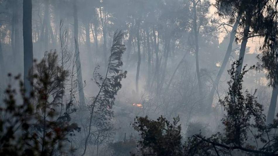 Συνεχείς πυροσβεστικές επιχειρήσεις στην περιοχή Σίβηρης-Φούρκας λόγω κινδύνου αναζωπύρωσης φωτιάς