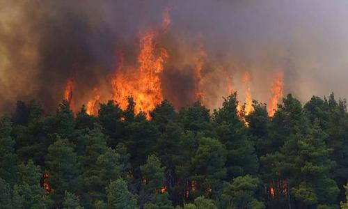 Συναγερμός για πυρκαγιές σε πολλές περιοχές της Ελλάδας