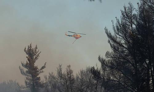 Πυρκαγιά σε δασική έκταση στην Θεσπρωτία με ενεργή επιχείρηση κατάσβεσης