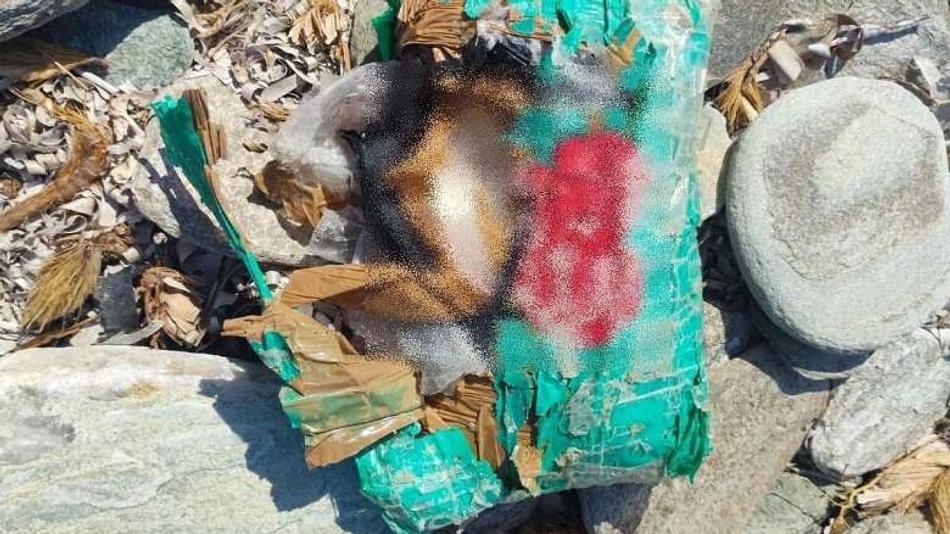 Κατασχέθηκαν πάνω από 2 κιλά κοκαΐνης στην παραλία «ΓΑΛΙΑ» της Άνδρου