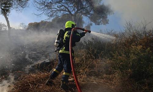 Πυρκαγιά σε δασική έκταση στην περιοχή Άγιος Νικόλαος Λακωνίας με ενεργές πυροσβεστικές δυνάμεις