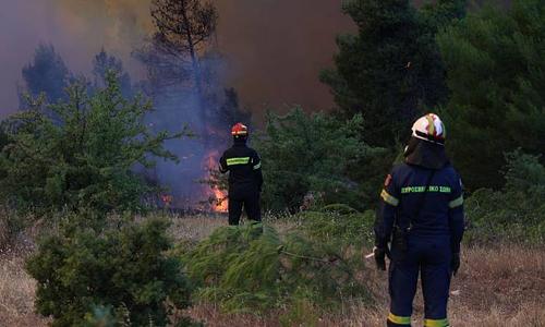 Φωτιά σε δασική έκταση στον Άγιο Νικόλαο Λακωνίας υπό μερικό έλεγχο