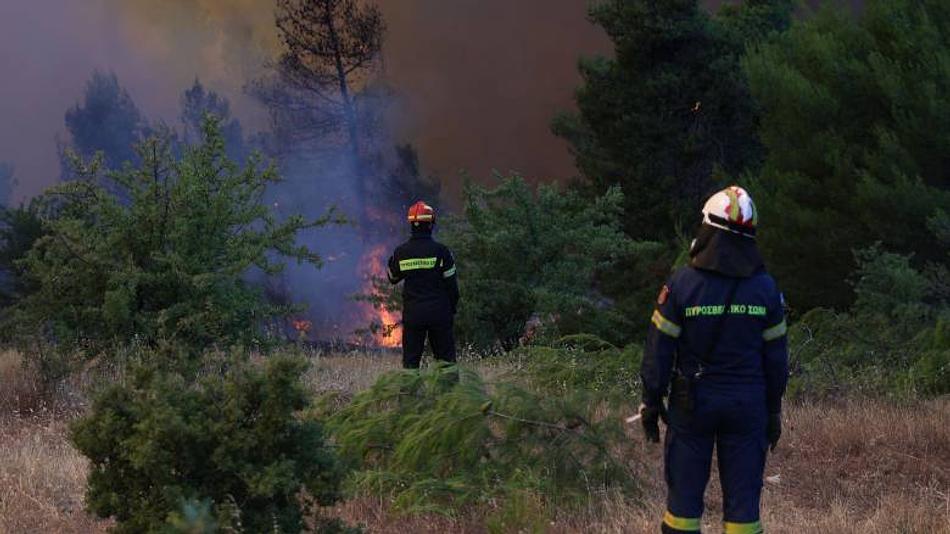 Φωτιά σε δασική έκταση στον Άγιο Νικόλαο Λακωνίας υπό μερικό έλεγχο