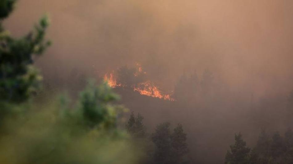 Πυρκαγιά σε χαμηλή βλάστηση στην περιοχή Κώστος Πάρου με την επέμβαση της Πυροσβεστικής