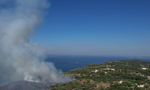 Πυρκαγιά στην Μεταξάτα: Ενισχυμένες δυνάμεις πυρόσβεσης στην περιοχή