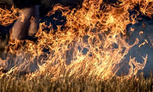 Σύλληψη 25χρονου για εμπρησμό από πρόθεση στην Ανατολική Αττική