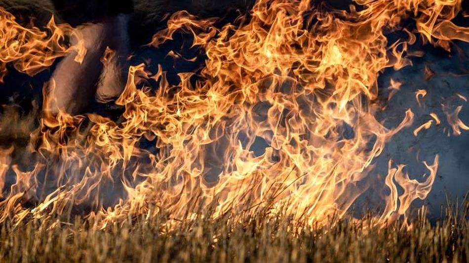 Σύλληψη 25χρονου για εμπρησμό από πρόθεση στην Ανατολική Αττική