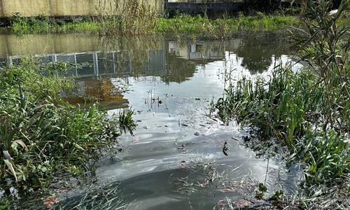 Καταστροφές στην αγροτική παραγωγή από χαλαζόπτωση και ανεμοστρόβιλο στη Βουπρασία