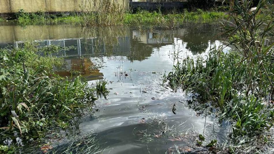 Καταστροφές στην αγροτική παραγωγή από χαλαζόπτωση και ανεμοστρόβιλο στη Βουπρασία