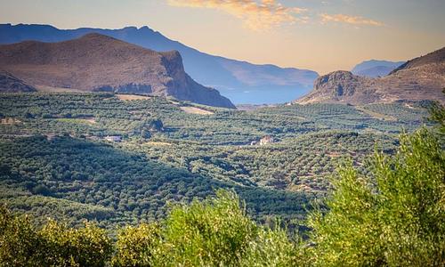 Ψηφιακή υποβολή αιτημάτων πληρωμής για παρεμβάσεις στο πλαίσιο της ΚΑΠ 2023-2027