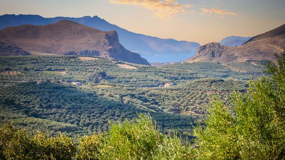 Ψηφιακή υποβολή αιτημάτων πληρωμής για παρεμβάσεις στο πλαίσιο της ΚΑΠ 2023-2027