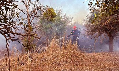 Πυρκαγιά στην Ελαία Λακωνίας κινητοποιεί 45 πυροσβέστες και αεροσκάφη