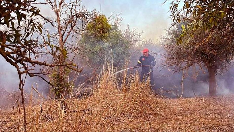 Πυρκαγιά στην Ελαία Λακωνίας κινητοποιεί 45 πυροσβέστες και αεροσκάφη