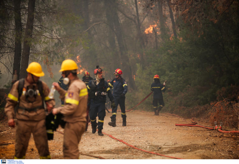 Φωτιά στην Εύβοια: Συγκλονίζει ο ήρωας εγκαυματίας πυροσβέστης: Μας είχε περικυκλώσει η φωτιά! (Αποκλειστική φωτό)