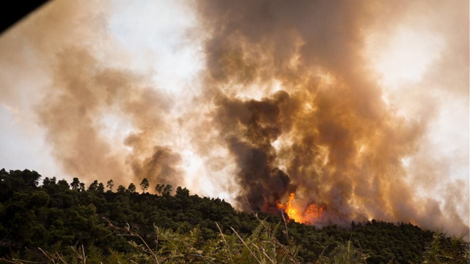Μεγάλες φωτιές σε Εύβοια και Αγίους Θεοδώρους – Κινητοποίηση στην Πυροσβεστική