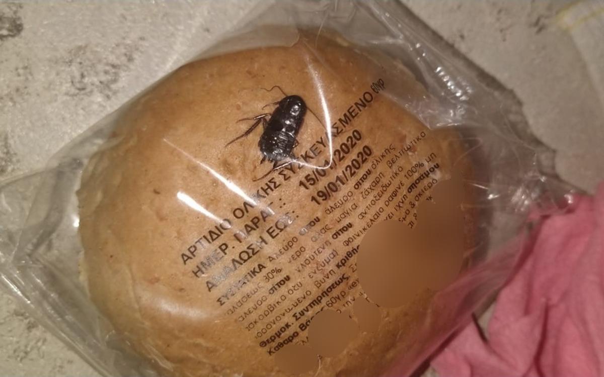 Ανατριχιαστικές φωτογραφίες με κατσαρίδα μέσα σε ψωμάκι! Οργή σε δημοτικό σχολείο στα Άνω Λιόσια!