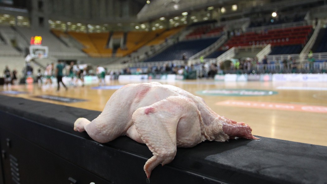 Άφησαν μια κότα στον πάγκο του Ολυμπιακού! (φωτο)