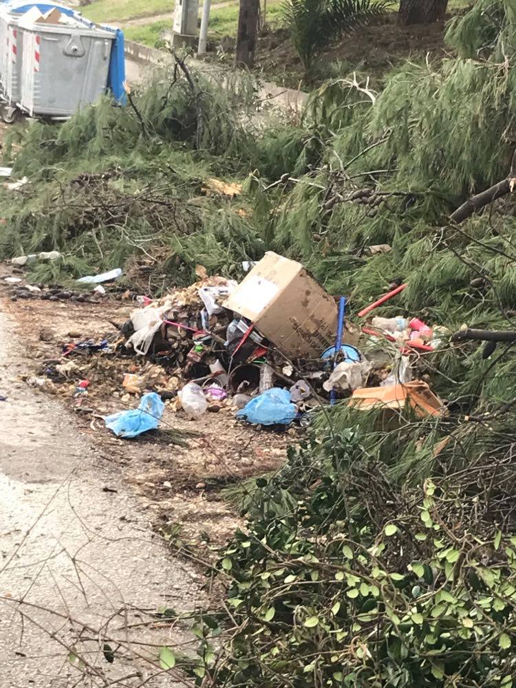 Νέα Σελεύκεια Ηγουμενίτσας: “Πόσες φορές πρέπει να διαμαρτυρηθούμε για τα σκουπίδια για να ιδρώσει το αυτί του Δημάρχου;” (φωτο “Alert”)
